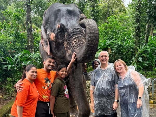 Two Families, One Kerala Tour: A Week That Turned Into a Story